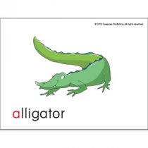 Sounds Great 1 Flash Cards Sounds Great 1 Flash Cards