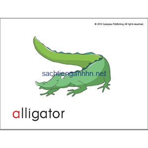 Sounds Great 1 Flash Cards 13 Sounds Great 1 Flash Cards