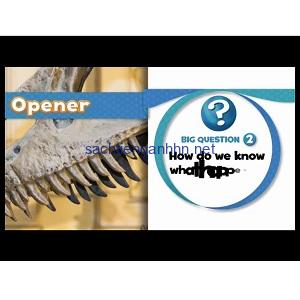 Oxford Discover 4 Big Question DVD Video Oxford Discover 4 Big Question DVD Video