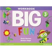 Big Fun 3 Workbook