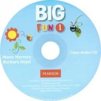 Big Fun 1 Class Audio CD B