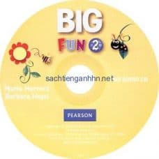 Big Fun 2 Workbook Audio CD