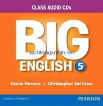 Big English (American English) 5 Class Audio CD