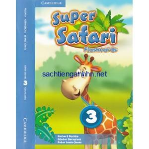 Super Safari British 3 Flashcards