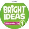 bright ideas 4 class book audio