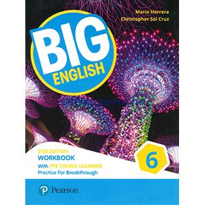 Big English 6 American Workbook 2nd Ed