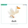 Share It! 2 Flashcards